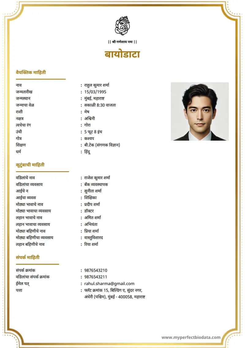 व्यावसायिक आधुनिक marriage biodata template