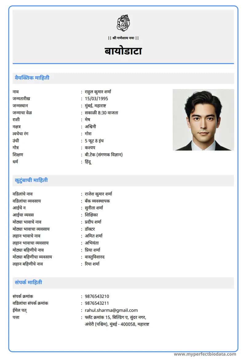 आधुनिक व्यावसायिक marriage biodata template
