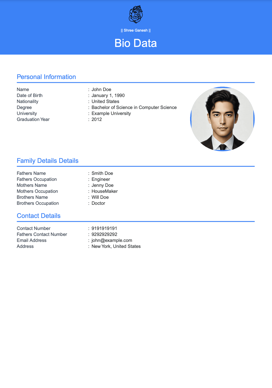 Modern Professional - best marriage biodata template
