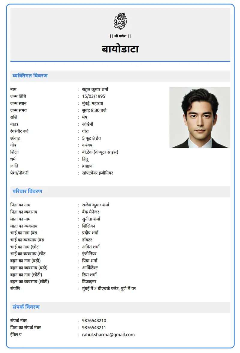 आधुनिक व्यावसायिक marriage biodata template