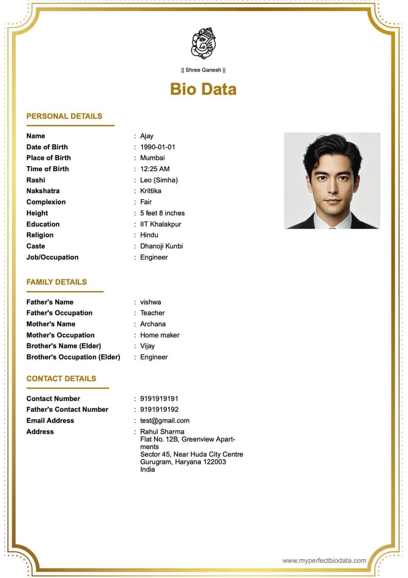 தொழில்முறை நவீன marriage biodata template