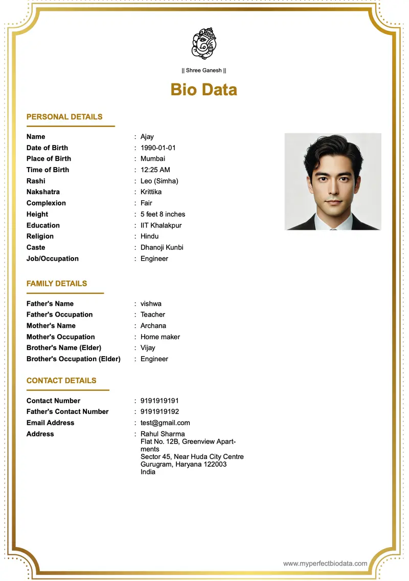 পেশাদার আধুনিক marriage biodata template