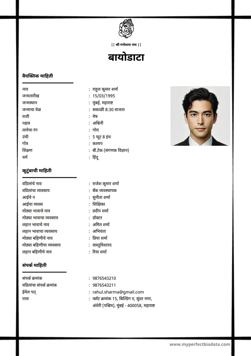 आधुनिक व्यावसायिक marriage biodata template