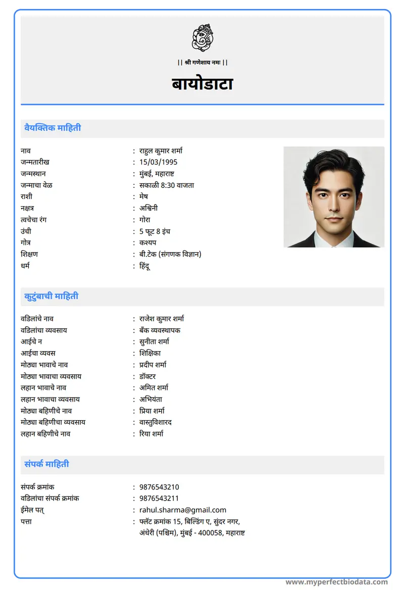 आधुनिक व्यावसायिक marriage biodata template