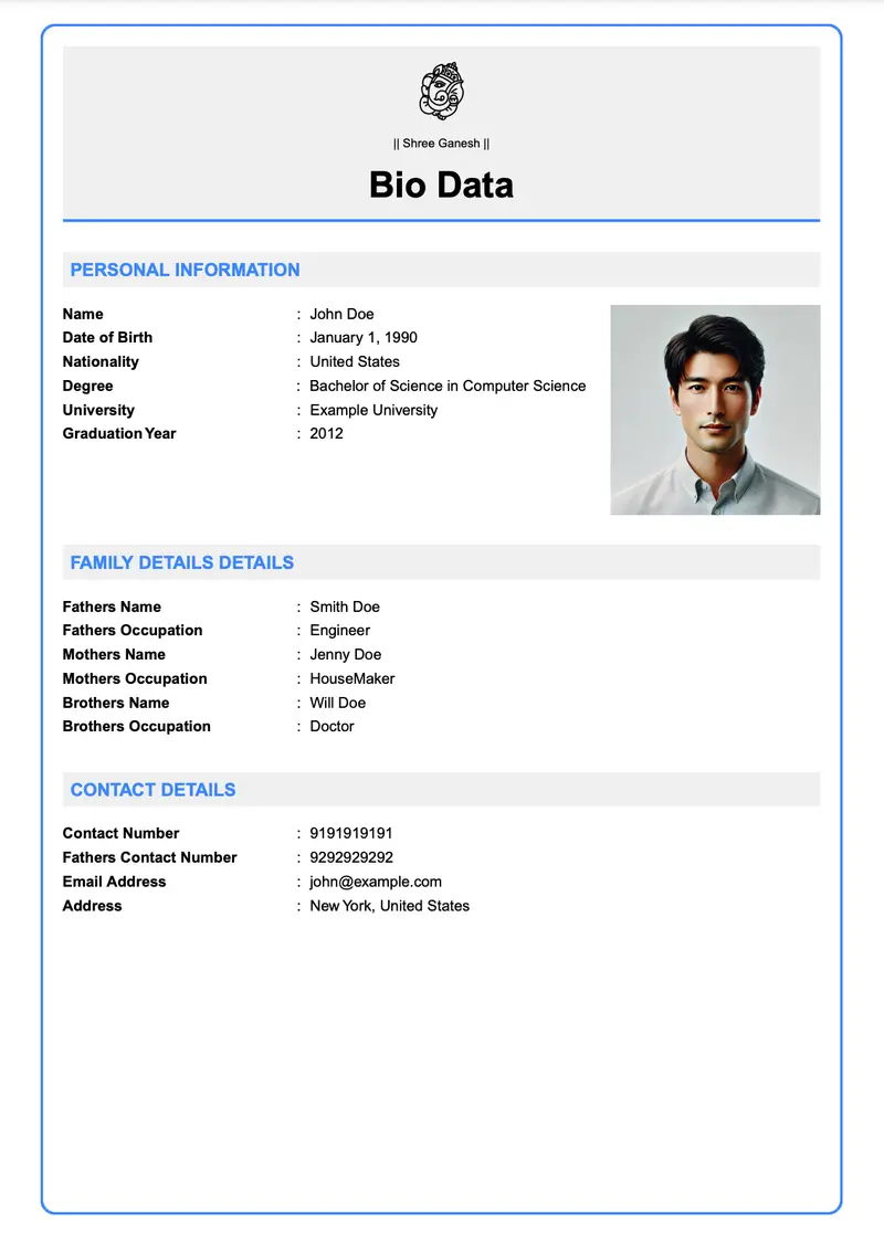 ఆధునిక వృత్తిపరమైన marriage biodata template